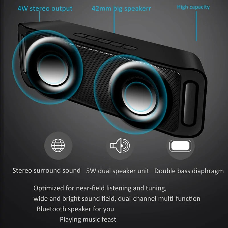 Portable Stereo 10W System